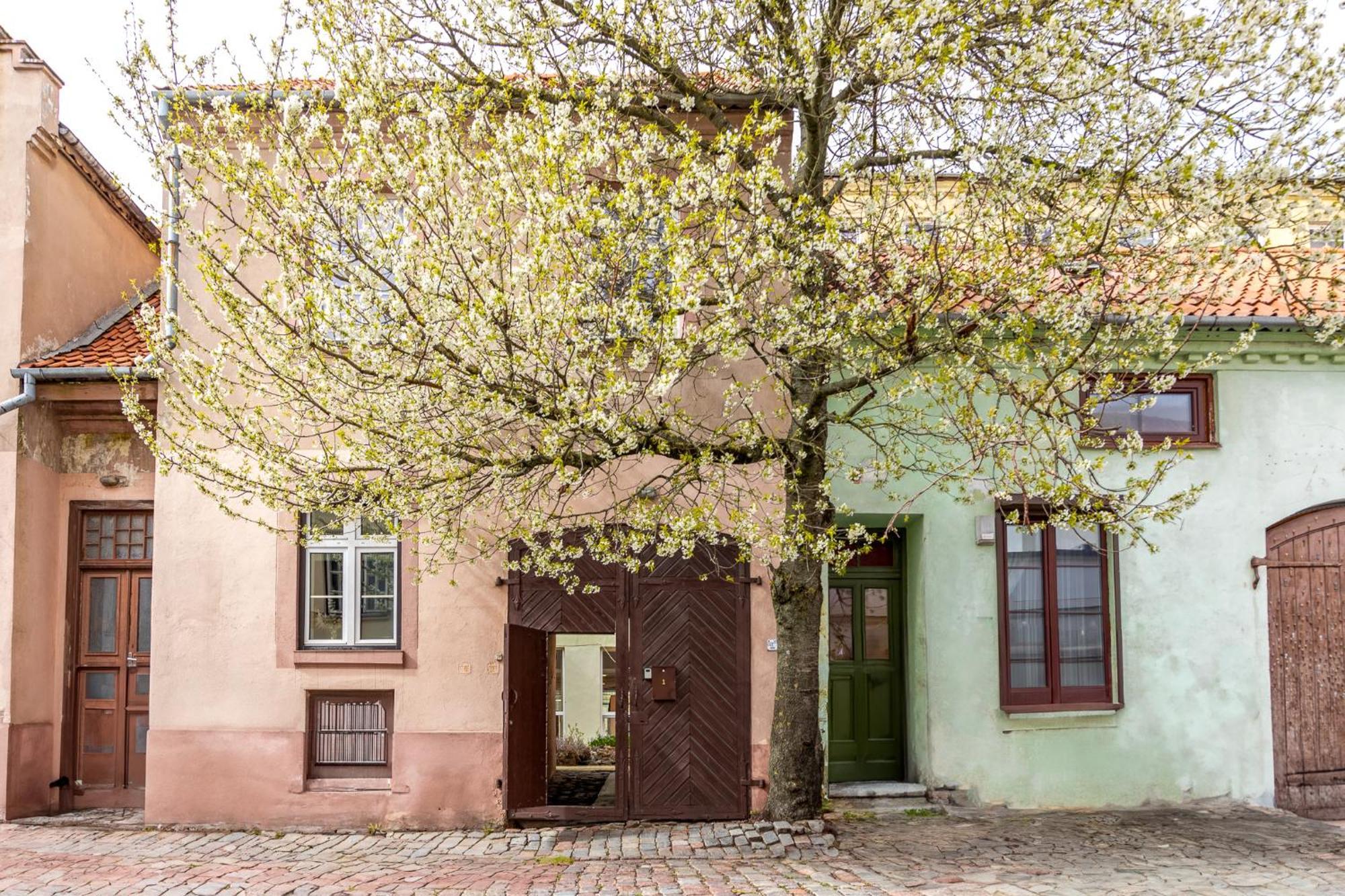 In The Heart Of The Old Town Vip Apartment Klaipėda Buitenkant foto